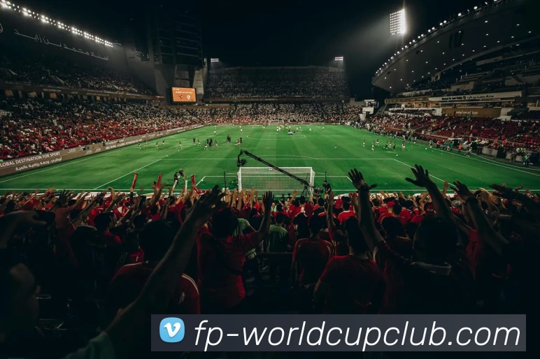 世界杯官网发展历程